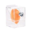 Diamond Collection 1-Slot Acrylic Makeup Blender Case 2 Diamond Collection 1-Slot Acrylic Makeup Blender Case -Impressionsvanity 210 1Slot AcrylicBlender 2
