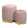 Zoe Storage Ottoman Set 2 Zoe Storage Ottoman Set -Impressionsvanity IVFC IPS257 LPNKV SET