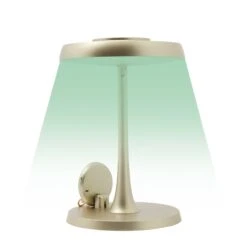 Serenity Tri-Tone LED Lamp Mirror -Impressionsvanity IVMM SEREN GLD LAMP green